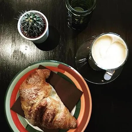 Oda ve Kahvaltı Xenia,