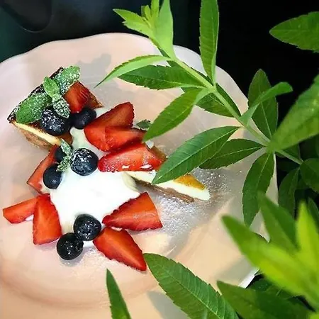 Xenia, Nocleg ze śniadaniem 3*